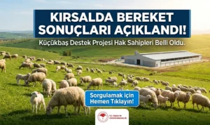 Koyun Projesi Sonuçları Açıklandı, Sorgulamak İçin tıklayın…