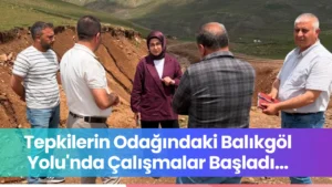 Tepkilerin Odağındaki Balıkgöl Yolu’nda Çalışmalar Başladı