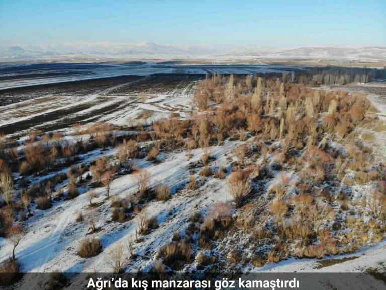 Ağrı’da kış manzarası göz kamaştırdı