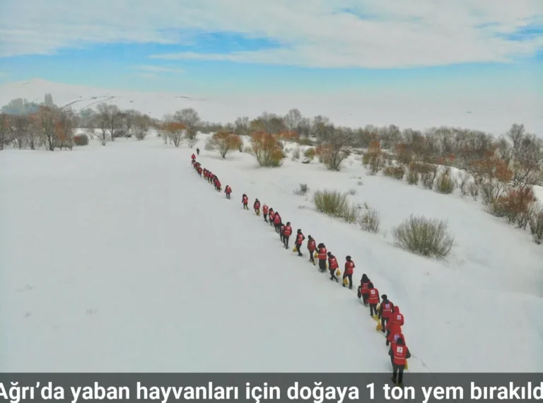 Ağrı’da yaban hayvanları için doğaya 1 ton yem bırakıldı