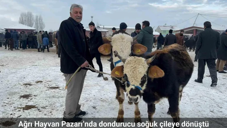 Ağrı hayvan pazarı’nda dondurucu soğuk çileye dönüştü