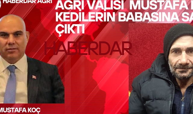 Vali koç, kedilerin babasına sahip çıktı