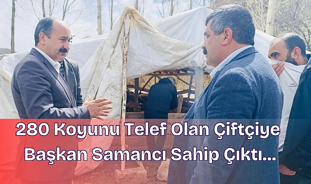 280 koyunu telef olan çiftçiye başkan samancı sahip çıktı