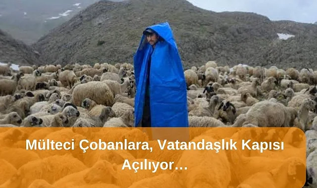 Başkan samancı müjdeyi duyurdu: mülteci çobanlara, vatandaşlık kapısı açılıyor