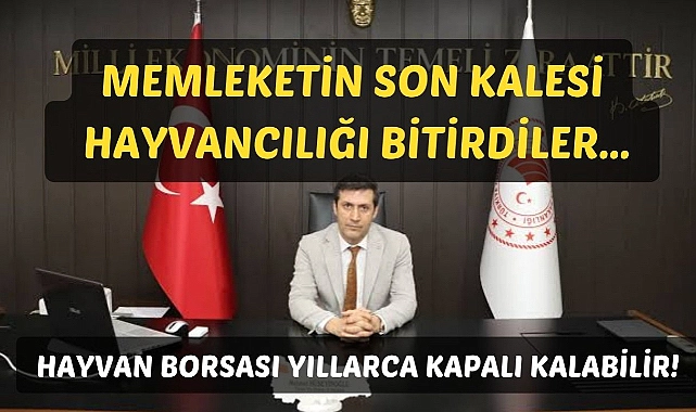 Ağrı tarım müdürlüğünde skandal ihmalkârlık: hayvan borsası yıllarca kapalı kalabilir!
