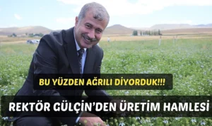 Bu yüzden ağrılı diyorduk, çünkü ağrılı halden anlar