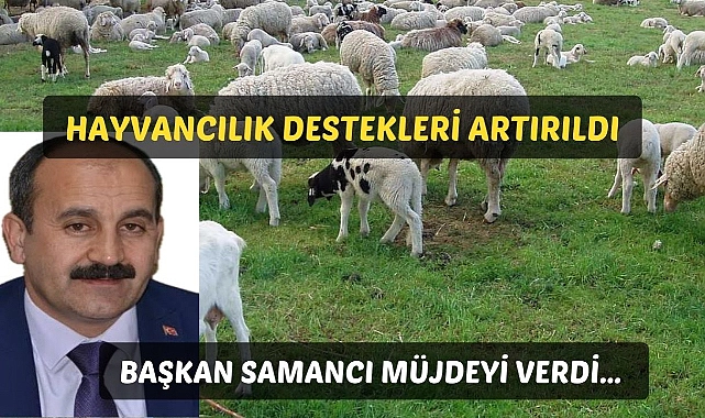 Başkan samancı müjdeyi verdi