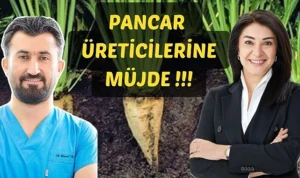 Pancar üreticilerine müjde: alım fiyatı artırıldı