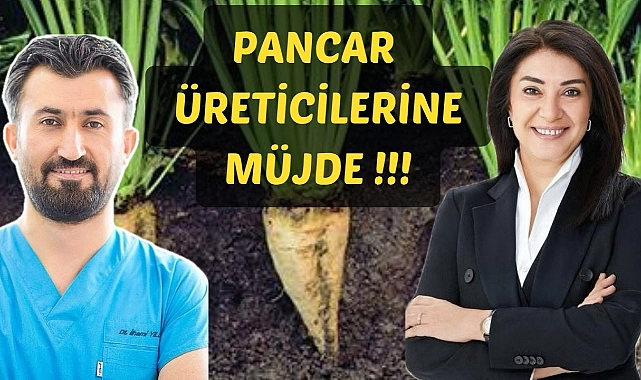 Pancar üreticilerine müjde: alım fiyatı artırıldı
