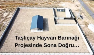 Taşlıçay’da sahipsiz hayvan barınağında sona yaklaşıldı