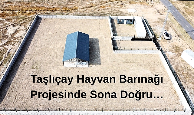 Taşlıçay’da sahipsiz hayvan barınağında sona yaklaşıldı