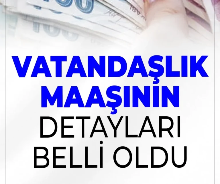 Vatandaşlık maaşı geliyor: detaylar belli oldu